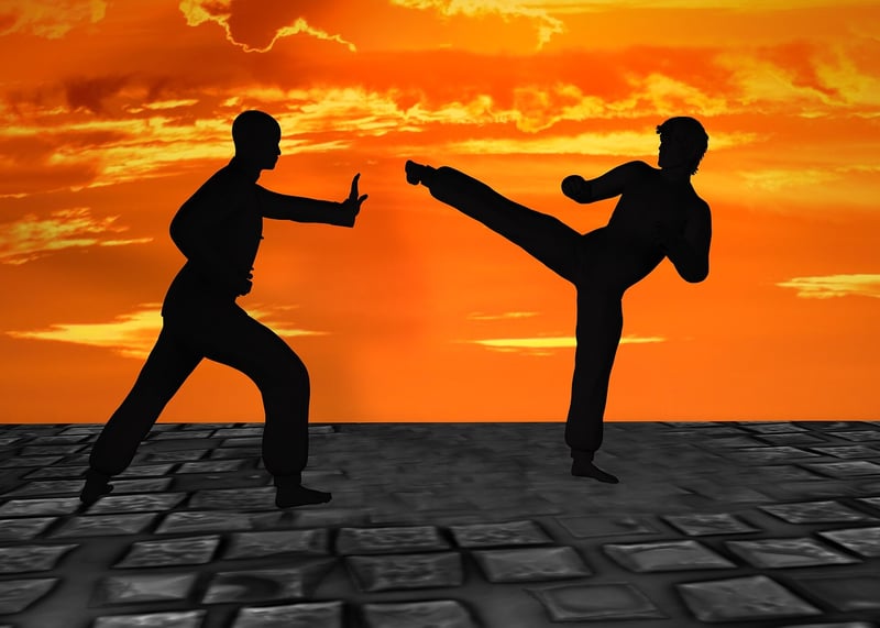 Kung Fu Stance